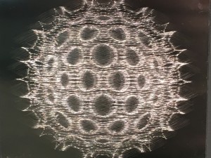 IMG_0797